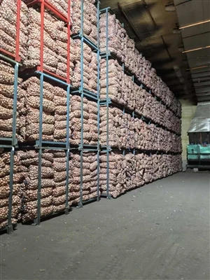 Thousands Of Tons Of Garlic Have Been Stored in The Cold Storage.