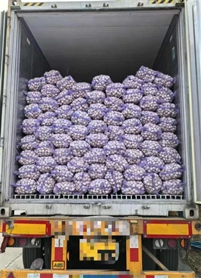 Another Container Of Garlic Is Ready To Be Shipped To The Destination.