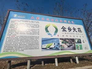 Warm Congratulations On The Establishment Of The Public Brand Of Jinxiang Garlic