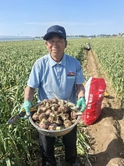 2025 China Garlic