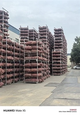 Large Quantities Of 2026 Fresh Chinese Garlic Stored: Ensuring Stable Supply ...