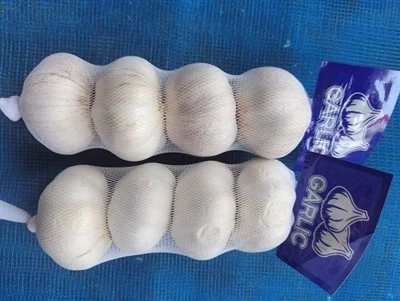 4.5cm Garlic