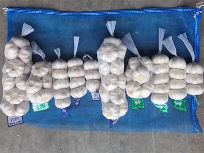 6.0cm Garlic