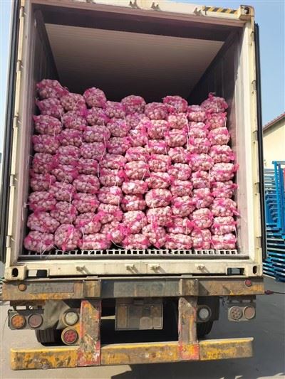 Nice Mix Garlic
