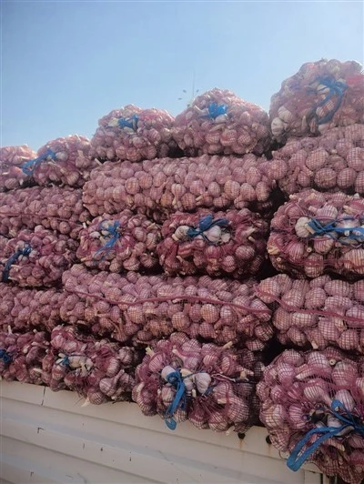 2025 New Garlic