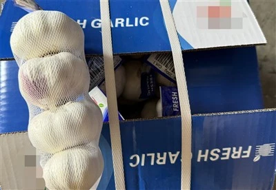 4p Garlic