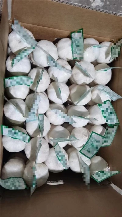 Bags Of Garlic