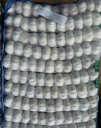 Bagged Garlic