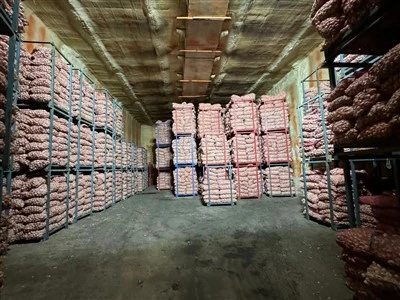 Garlic In Cold Storage