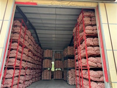Stored Garlic