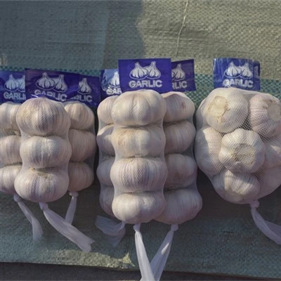 Fresh Garlic Peeled