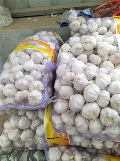 Garlic in Bags
