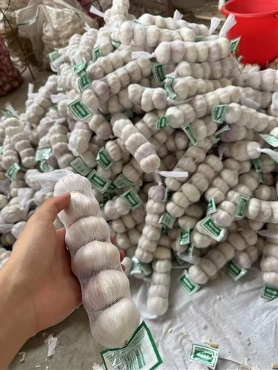 Mesh Garlic