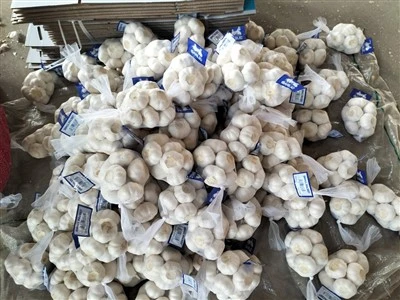 Net Pocket Garlic