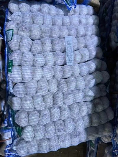 Packaged Purple-skinned Garlic