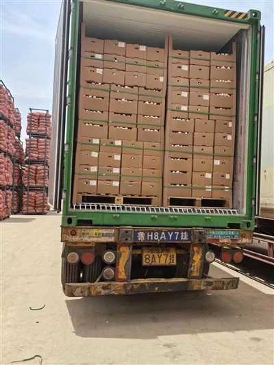 Pallet Transporting White Garlic