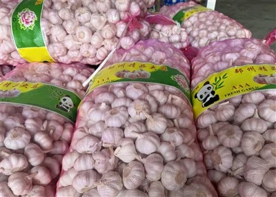 Large Bags Of Garlic