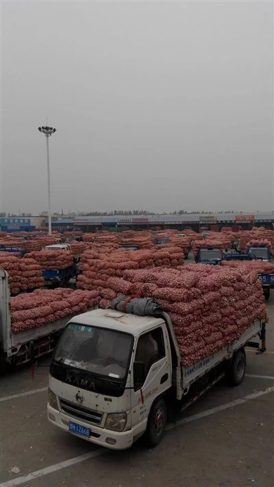 Garlic From The Market
