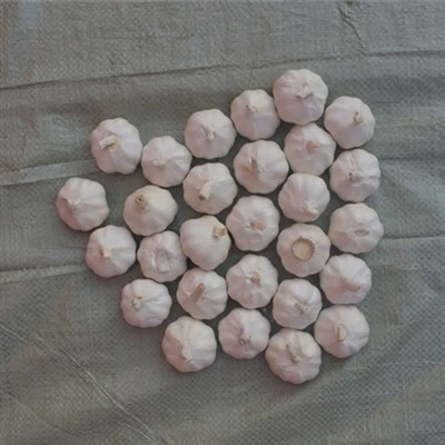 Skinless Garlic
