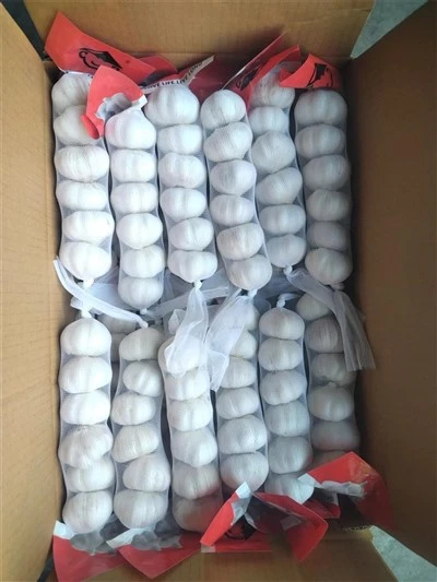 Small Package Of Garlic